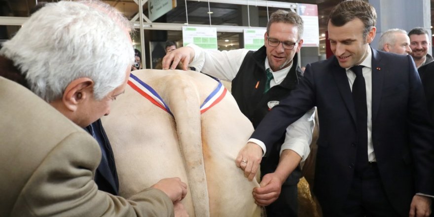 Macron hayvanların kalitesini kontrol etti