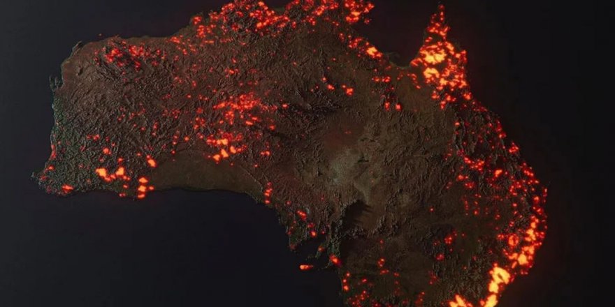 Yangınlar Avustralya’daki ormanların yüzde 21’ini yok etti