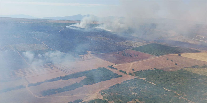 Didim'de çıkan yangında 45 hektar makilik kül oldu: Nedeni bilinmiyor!