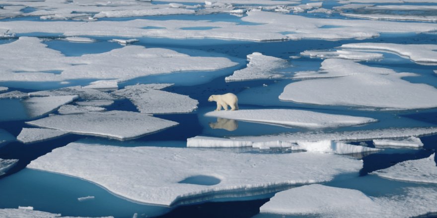 Kuzey Kutbu'nda rekor sıcaklık: Dünya alarm veriyor!