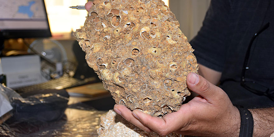 Muş'ta 50 milyon yıllık fosiller bulundu