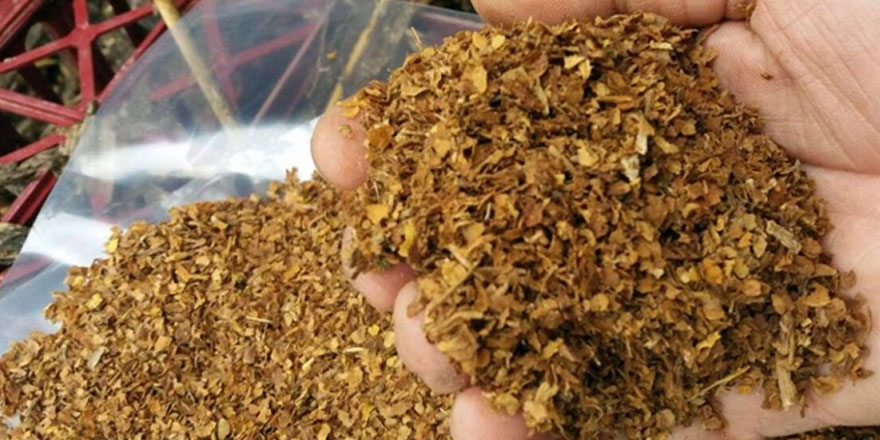 Sigara üreticileri yerli tütüne geri dönüyor