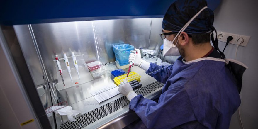 Sağlık Bakanlığı’ndan 81 ilin valiliğine  korona virüs testi yazısı: Yeni düzenleme geldi