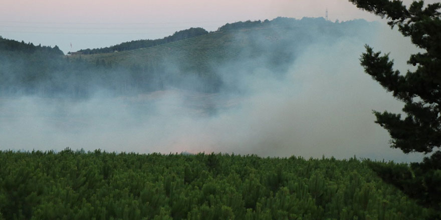 Aydos Ormanı yine yanıyor