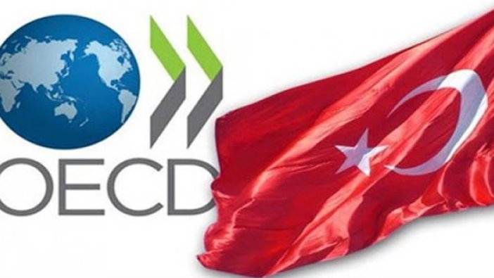 OECD Türkiye ekonomisi tahminini revize etti 