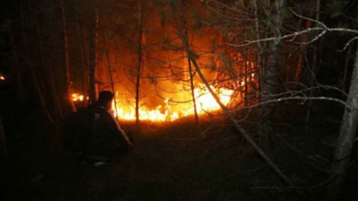 Kastamonu'da yine orman yangını
