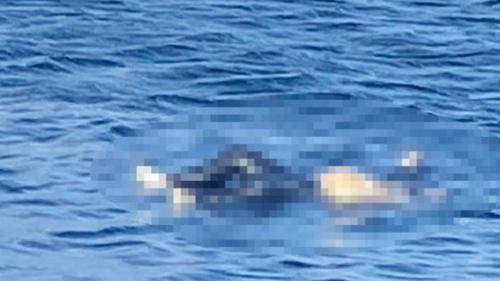 Avşa Adası açıklarında erkek cesedi bulundu