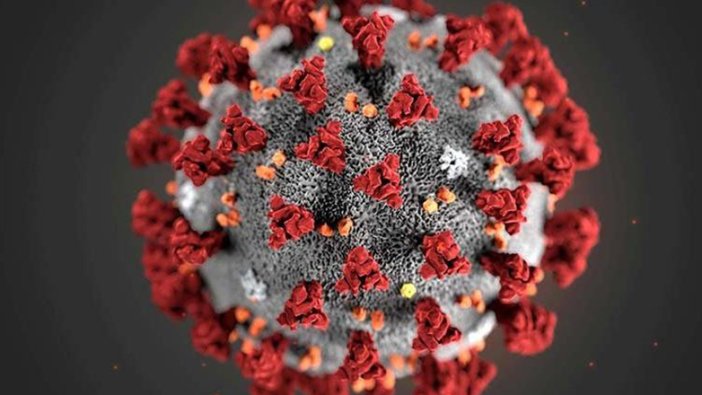 Dünya genelinde şimdiye kadar 60 milyon korona virüs vakası açıklandı