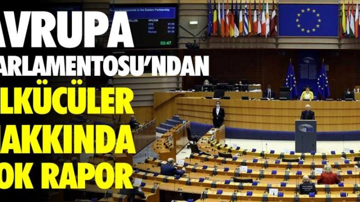 Avrupa Parlamentosu'ndan ülkücüler hakkında şok rapor!