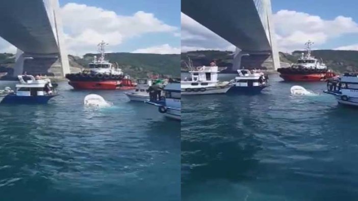İstanbul'da bir gemi balıkçı teknesine çarptı