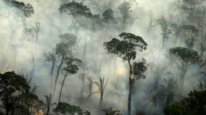 Amazon ormanları ile ilgili korkunç gerçek!