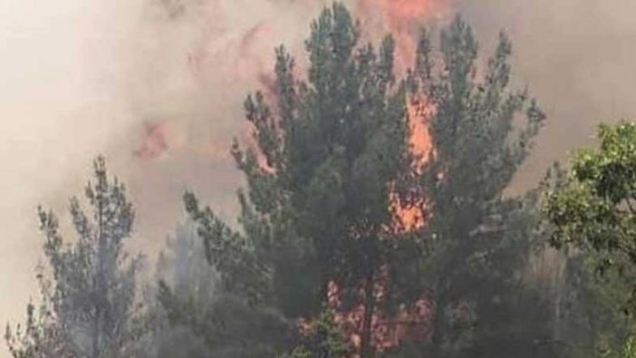 Mersin'deki orman yangını söndürülemiyor