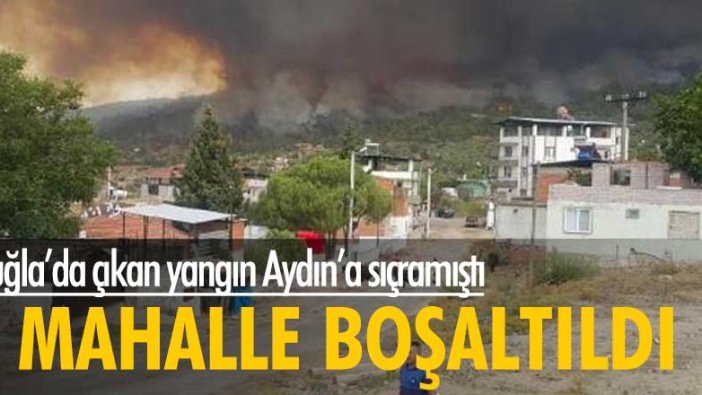 Muğla'da çıkan yangın Aydın'a sıçramıştı: 6 mahalle boşaltıldı