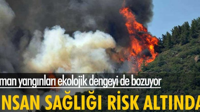 Orman yangınları ekolojik dengeyi de bozuyor! "İnsan sağlığı risk altında"