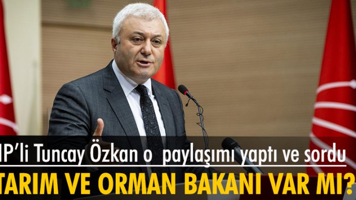 CHP'li Özkan: Envanterimizde Tarım ve Orman Bakanı var mı merak ediyorum?