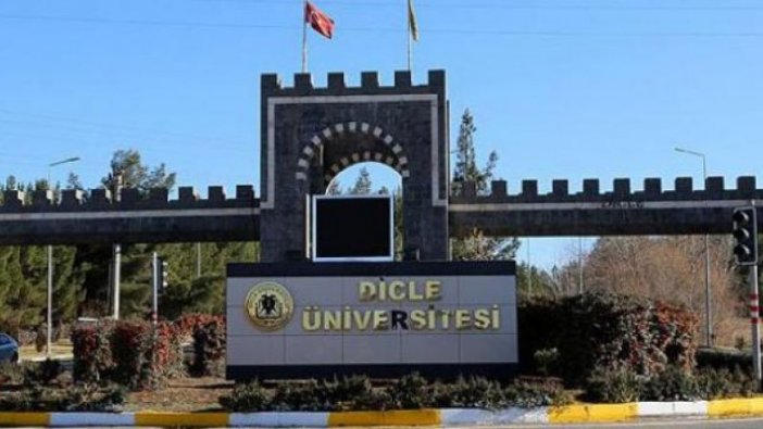 Dicle Üniversitesi'ne 22 Öğretim Üyesi alınacak