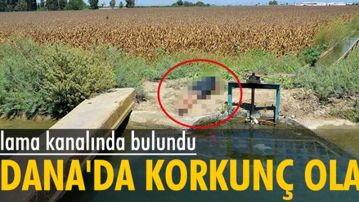 Adana'da sulama kanalında 15 yaşında bir erkek cesedi bulundu