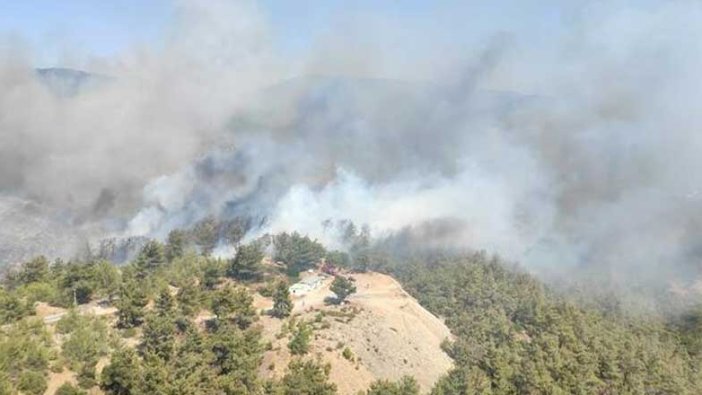 Bodrum ve Milas'ta orman yangını