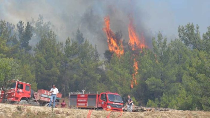 Manisa'da ormanlık alanda yangın çıktı