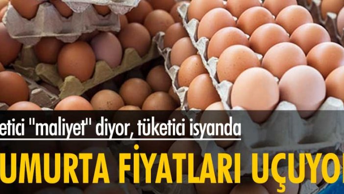 Yumurta fiyatlarında büyük artış! Üretici "maliyet" diyor, tüketici isyanda