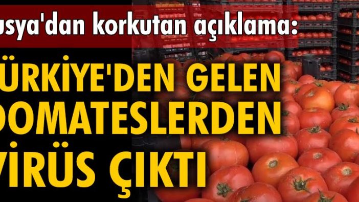 Rusya'dan korkutan açıklama: Türkiye'den gelen domateslerden virüs çıktı
