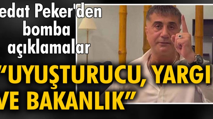 Sedat Peker'den bomba açıklamalar: "Uyuşturucu, yargı ve bakanlık"