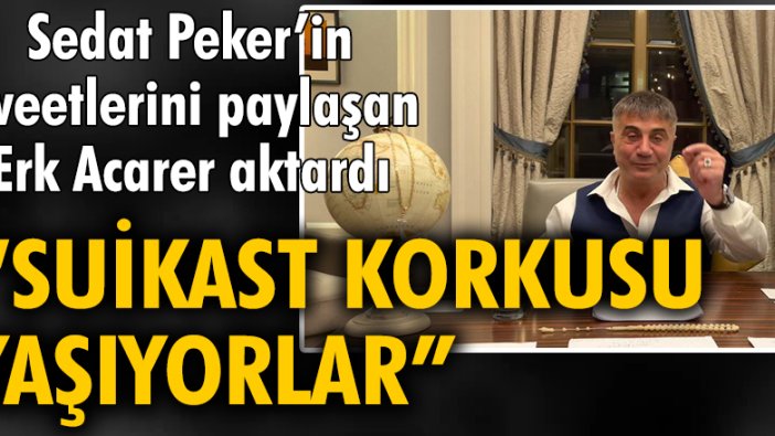 Sedat Peker'in tweetlerini paylaşan gazeteci Erk Acarer aktardı, "Suikast korkusu yaşıyorlar"
