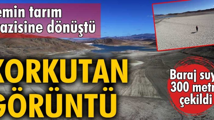 Zemin tarım arazisine dönüştü! Sivas'ta Karacalar Barajı'nın suyu 300 metre çekildi