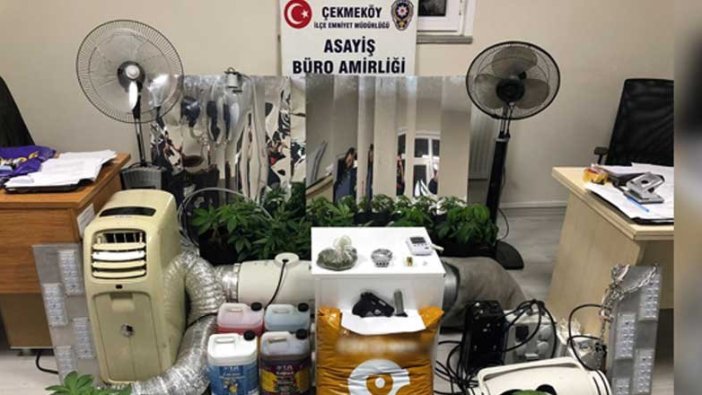 Çekmeköy'de uyuşturucu serasına dönüştürülen eve operasyon