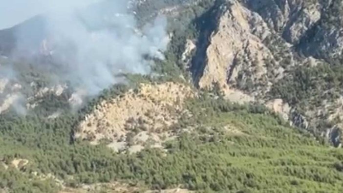 Kemer'de orman yangını: Müdahale sürüyor