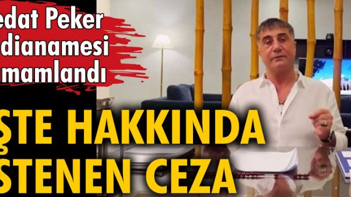 Sedat Peker iddianamesi tamamlandı: İşte hakkında istenen ceza