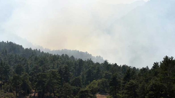 Antalya'da orman yangını çıktı