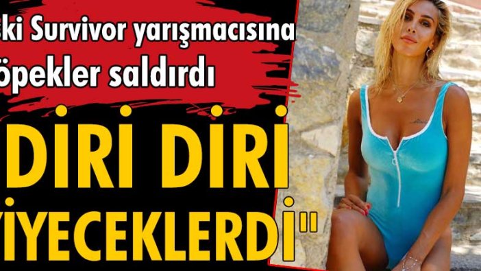 Eski Survivor yarışmacısı Duygu Bal'a köpekler saldırdı