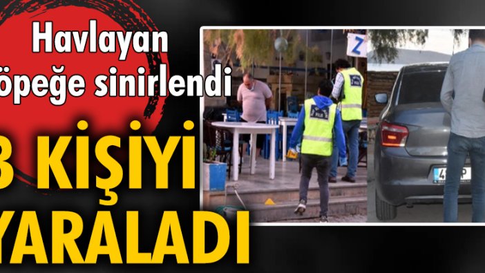 Köpeğe sinirlenip av tüfeğiyle ateş açtı 3 kişiyi ve köpeği yaraladı