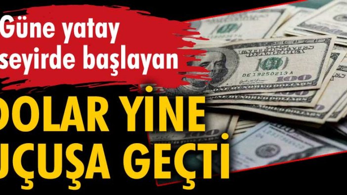 Dolar yeniden yükselişe geçti!