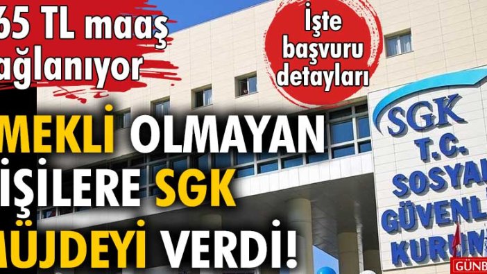 Emekli olmayan kişilere SGK müjdeyi verdi | 865 TL maaş bağlanıyor!  İşte başvuru detayları...