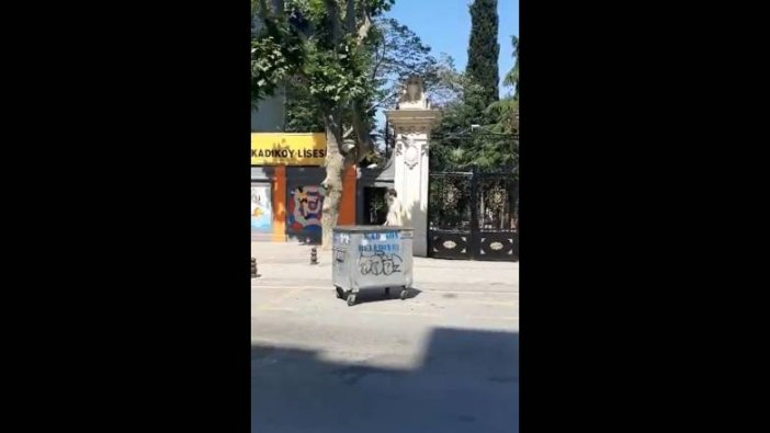 Yer Kadıköy: Normalleşelim dedik de bu kadar da değil