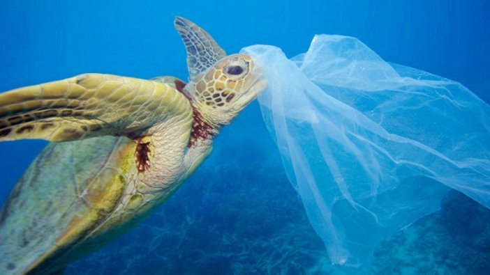 Dakikada 33 bin 800 plastik şişeye denk atık Akdeniz'e karışıyor!