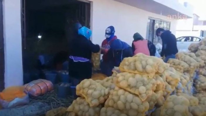 CHP'li belediyeden patates üreticisine destek
