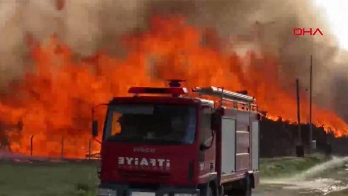 Afyonkarahisar'da biyoenerji tesisinde yangın