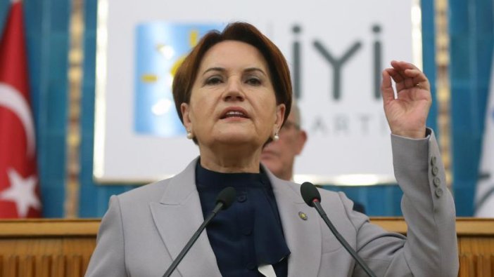 İYİ Parti lideri Meral Akşener'den Rusya-Ukrayna krizine dair önemli tespitler...