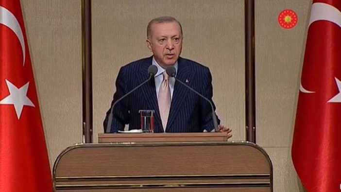 Erdoğan'dan 'ayçiçek yağı' açıklaması