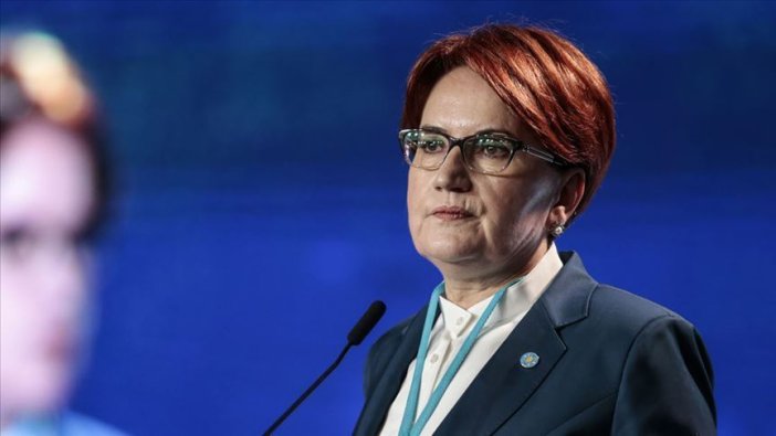 AKP’li eski başkandan Meral Akşener'e 'çirkin ifade'