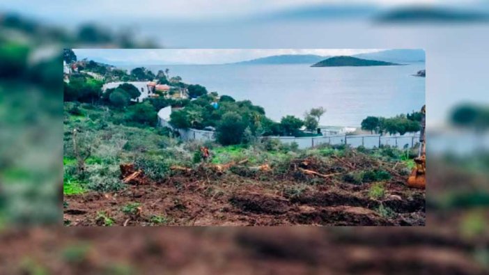 Hazine'ye ait arazi AKP'ye yakın iş insanlarına satıldı
