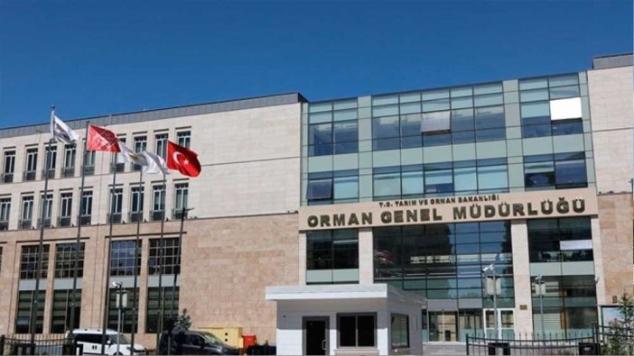 Orman Genel Müdürlüğü personel alacak