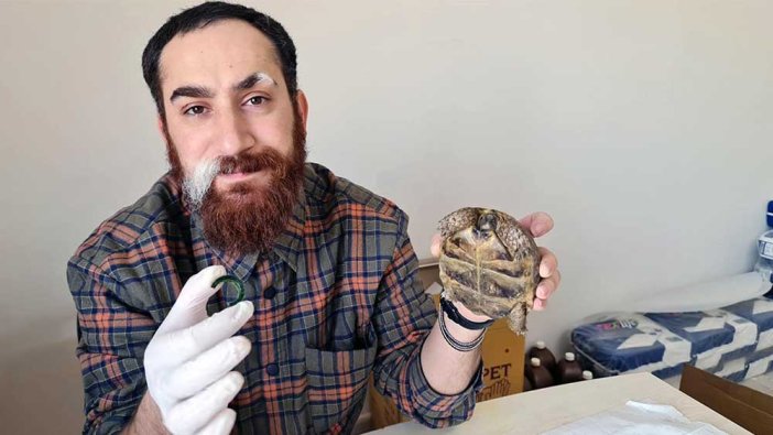'Hayat tamircisi' kaplumbağayı kurtardı