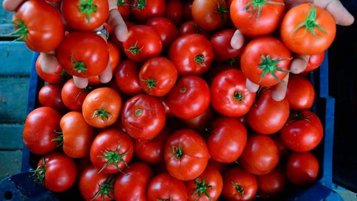 Oğuz Demir’den korkutan gıda öngörüsü: Böyle giderse vatandaş yiyecek domates bulamayacak!
