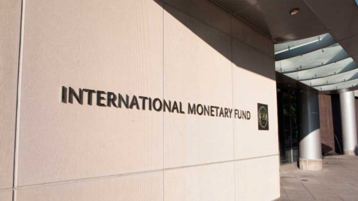 Uzman isim açıkladı: Türkiye IMF'ye gidebilir!