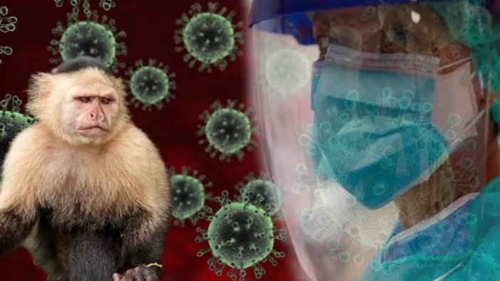 Maymun çiçeği virüsü için alınabilecek önlemler