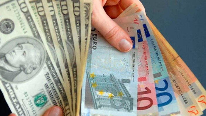 Elinde Euro ve Dolar'ı olanlar dikkat! Remzi Özdemir'den çarpıcı uyarı